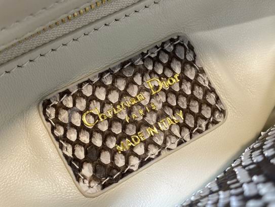 Mini Lady Dior Exotic Lizard Skin