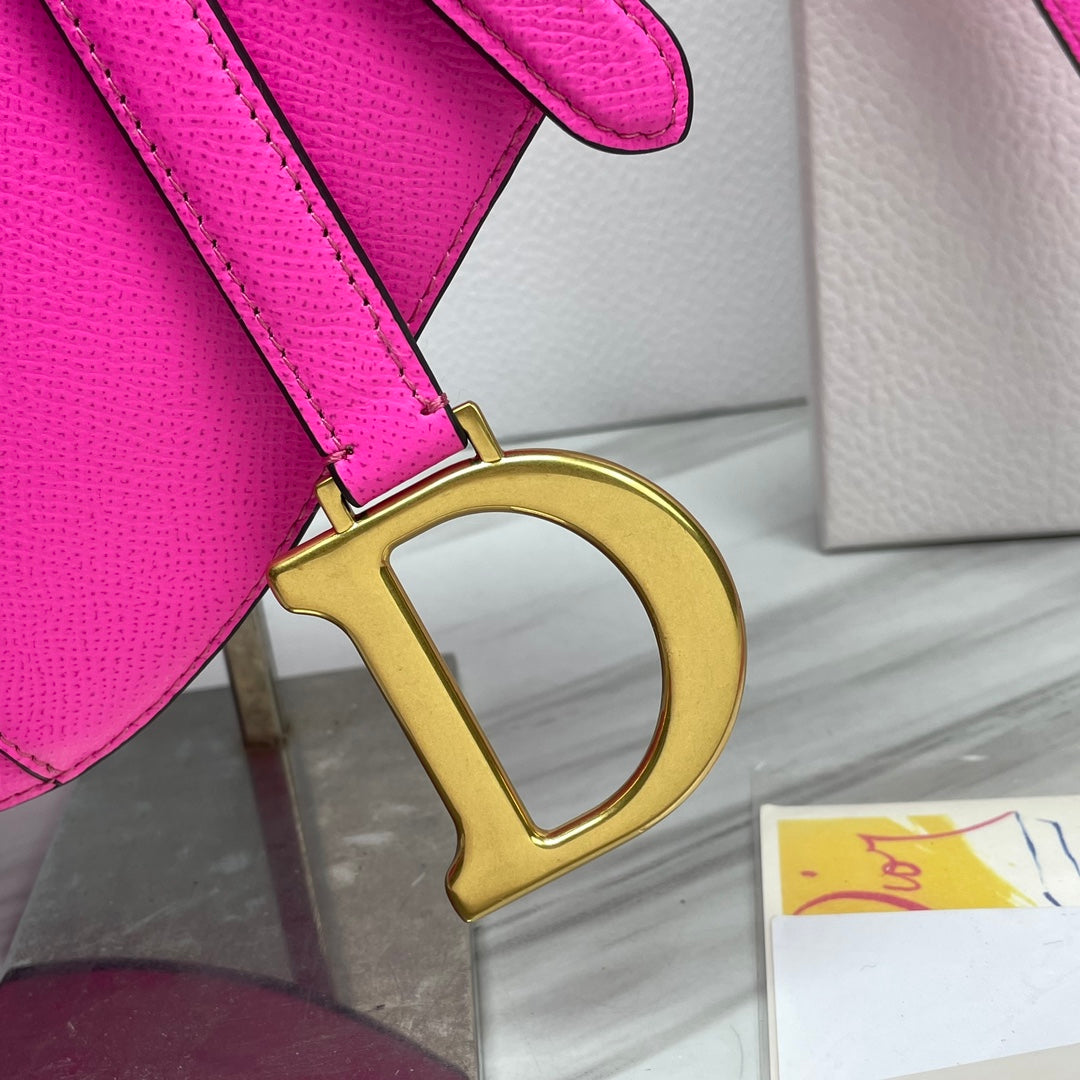 Dior Saddle Bag