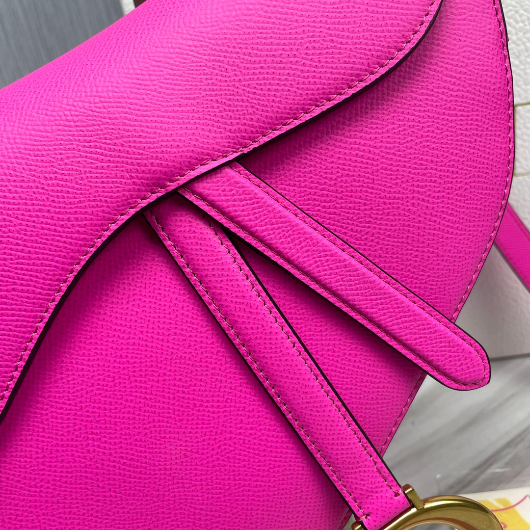 Dior Saddle Bag
