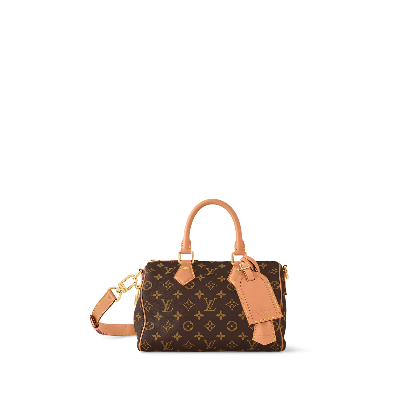 Speedy P9 Bandoulière 25 Monogram