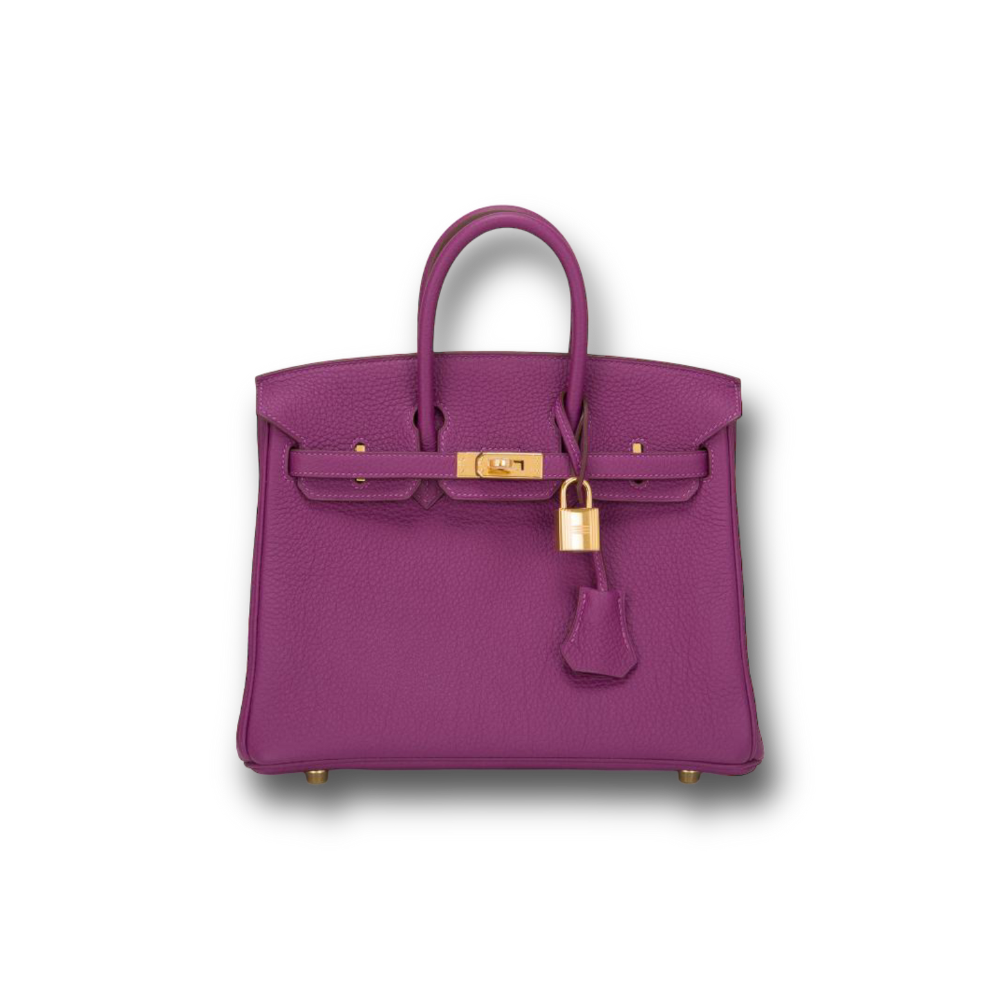 Birkin 25 Anemone togo leather gold hardware